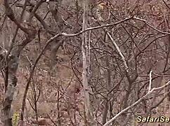 i feel extreme skinny ebony group sex with big cocks outdoor.