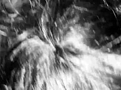 shemale noir in interracial amateur homemade scene