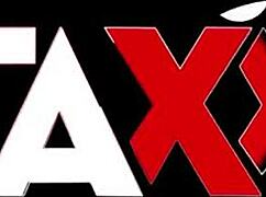 busty brunette bbw desires that big black cock inside her