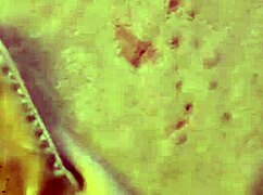 gia lovey slobbers on my big cock before getting fucked hard