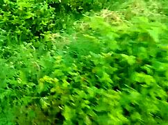 Hey Indian aunty, ready for step sex on the second floor?