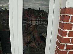 I Love Watching This Horny Bunny Take a Big Carrot in Her Juicy Pussy Holes