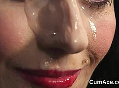 Stunning Centerfold Swallows Every Drop of Cum After Wild Blowbang