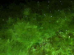 We hid from the rain in an abandoned ranch to have lesbian sex with dirty talk