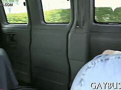 gay adult entertainment videos