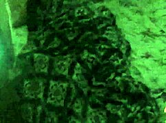 wife asks to fill her mouth with cum?