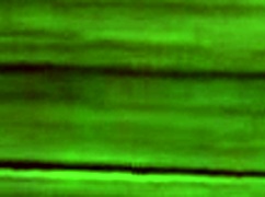 Reimu Feels Intense Pleasure In Back Sex With Passion