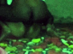 Did you see him lift the sleeping bhabhi for fucking?