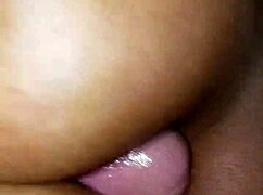 Hey, wanna see this amateur interracial blowjob and titfuck cumshot?