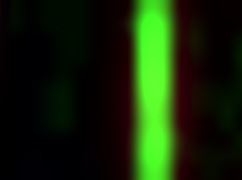 mature slut moaning as her pussy and asshole get banged hard in close up.