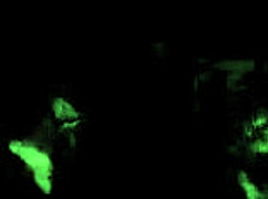 Vintage Erotic Illustration