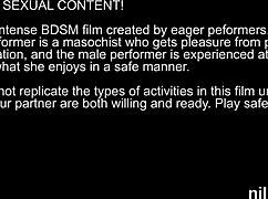 Peculiar kitten was brought in anal madhouse for awkward treatment