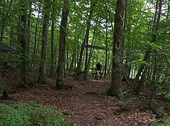 रफ एशियन डोमिनेशन बड़ी छातियों के साथ एक्सट्रीम फुल मूवी में