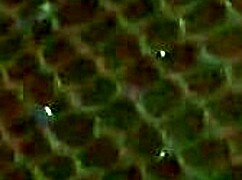 i teased the uber driver and let him touch my pussy