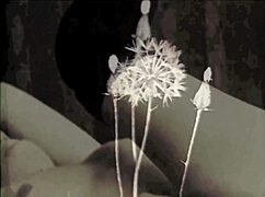 i, uh, love the wonderful vintage threesomes with hairy pussies