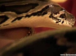 she dances gracefully while lying down 😊