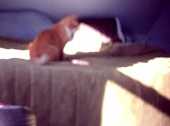 trim video file with hidden toys and dildo