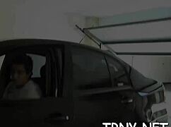 Trannies Tubes Deliver Raw Hardcore Blowjob Action