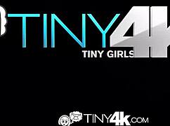 cutie bree gets pussy stuffed with big cock