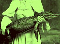 Vintage taboo scene with hairy pussy getting bent over doggystyle in retro outdoor action.