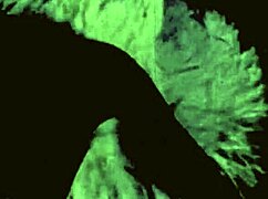 Man, I messed up describin’ this vintage porn challenge from 1870s to 1970s, so wild!