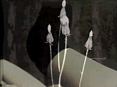 Vintage Erotica Collection 1