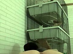 kinky wet piss play getting wild on my sofa