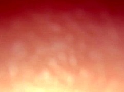 wet milf pussy and ass fucked hard in homemade close-up action