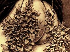 Vintage Erotic Drawings Showcase Retro Sensual Art in Detail