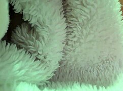 Celine Grande Poses With Big Tits And Ass