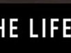 Hot brunette masturbates intensely while girlfriend watches orgasm