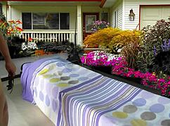 Preview of Taking Care of My Baby with Agarabas and Olpr