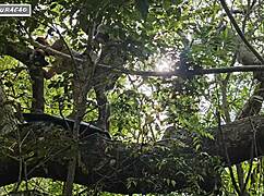 i use my brunette slut outdoors for interracial anal in nature