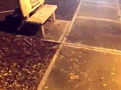 she moans for old gay cock