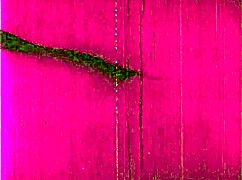 vintage erotic drawings that’ll take you back in time