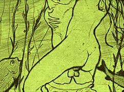 Watch this vintage erotic animation