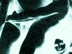 What vintage erotic art hides in retro cartoons?