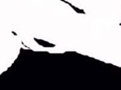 Ebony Group Orgy with Squirting and Big Black Cocks