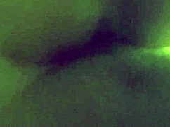 Ever Tried A Ladyboy In Thailand?