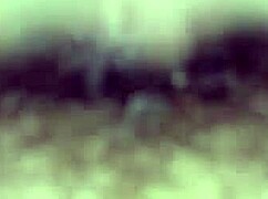 Esposa Sentando Até Babar A Buceta