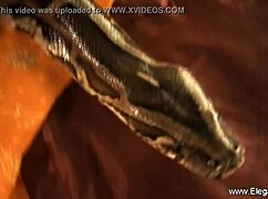 dancing erotic dreams with asian milf brunette in high definition solo