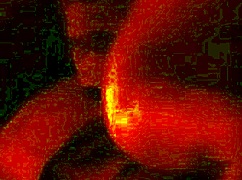 Real homemade wedding bride gets intensely fucked by her new husband in amateur passion