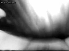 Our little compilation of blowjobs and cumshots