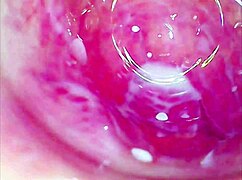 Amateur Uses Glass Dildo on Tight Pussy