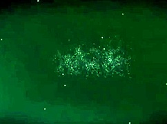 Deep pool bikini blonde gives blowjob and swallows cumshot