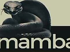 Nasty Latina bitch craves morning sex from Pato in bedroom. What’s her deal?