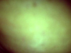 Curious About Granny Taking It Deep in Her Backdoor?