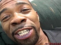 i'm diving into savannah stern's wild black adventure