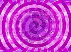 prove yourself with anal femdom and jerk off instructions