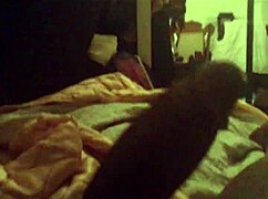 Shemale Jerks Off Big Cock In Solo Cumshot